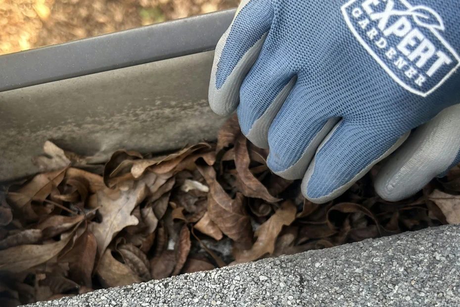 Gutter Cleaning Elkmont