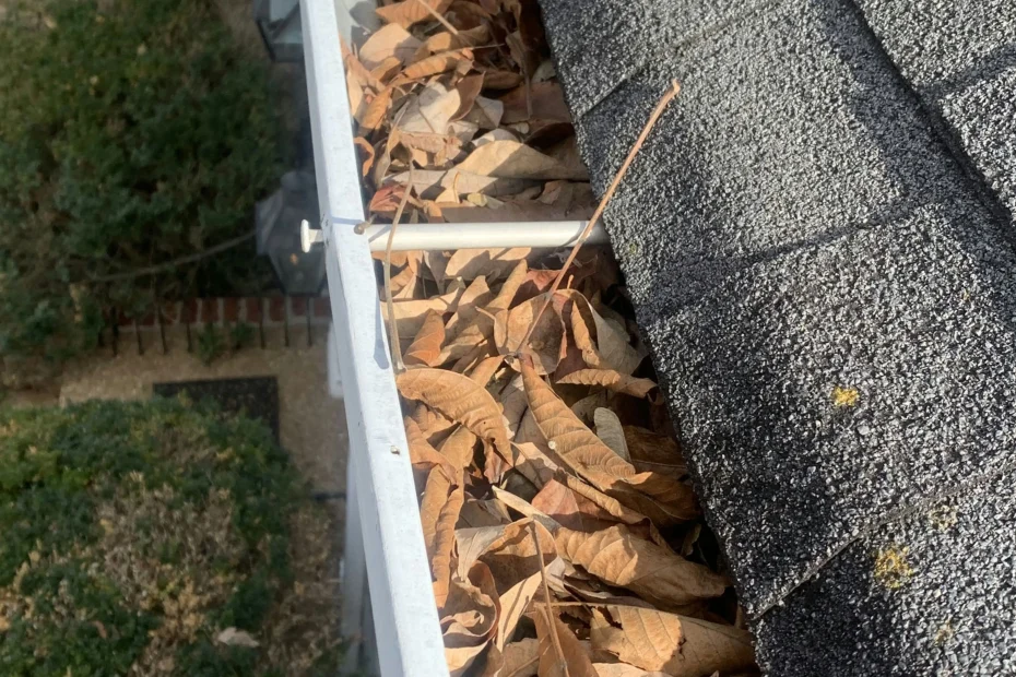 Gutter Cleaning Elkmont