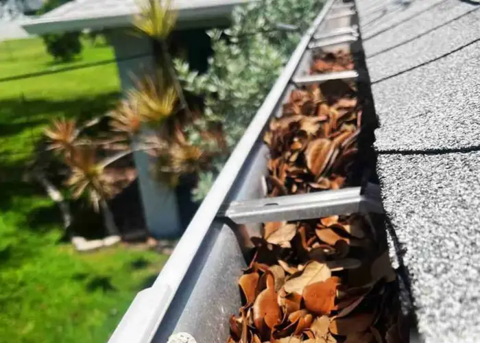 Gutter Cleaning Elkmont home page